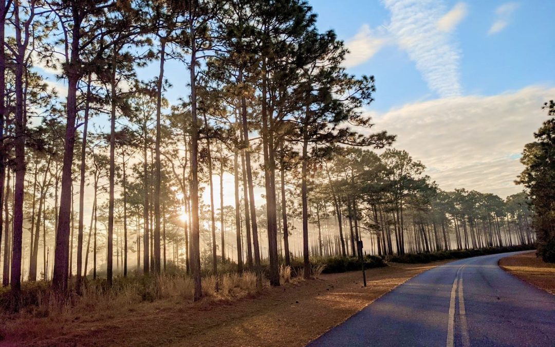 Explore Brunswick’s Green Havens: Unveiling the City’s Top Parks