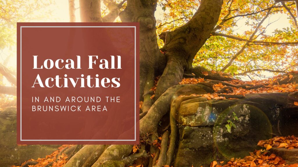 Autumn Magic in Brunswick, GA: Guide to Local Fall Activities