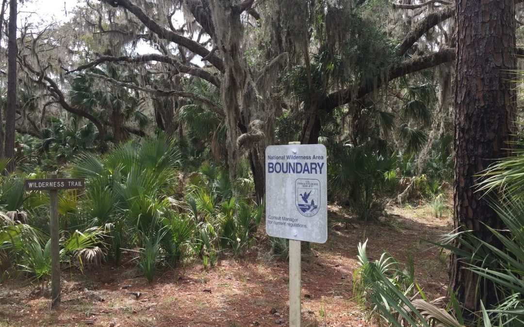 Free Naturalist 101 Lecture: Explore Blackbeard Island’s Ecological Wonders